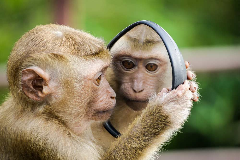 Je wilt van alles. Hartstikke schattig. En wat wil jij nu eigenlijk echt?
